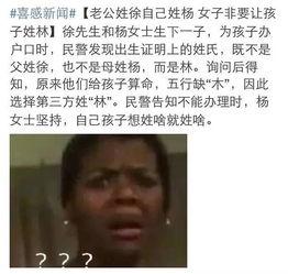 新闻爆料恶搞图片大全集,盘点新闻爆料中的趣味瞬间  第2张