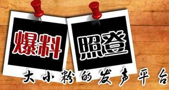 看一下新闻爆料,揭秘事件背后真相