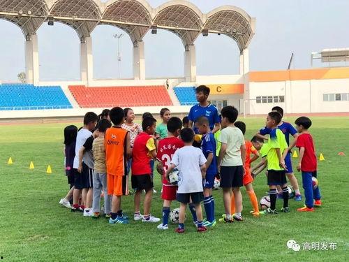 足球爆料机构排行榜最新,谁将问鼎巅峰？  第2张